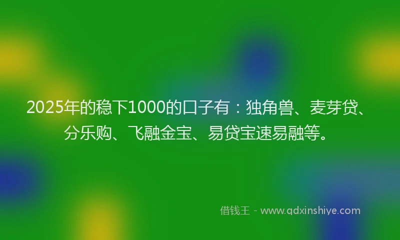2025年的稳下1000的口子有:独角兽、麦芽贷、分乐购、飞融金宝、易贷宝速易融等。
