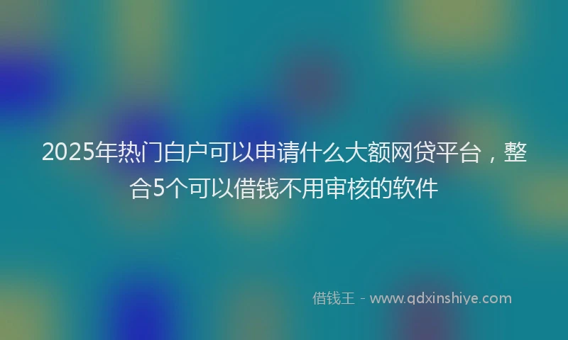 2025年热门白户可以申请什么大额网贷平台，整合5个可以借钱不用审核的软件
