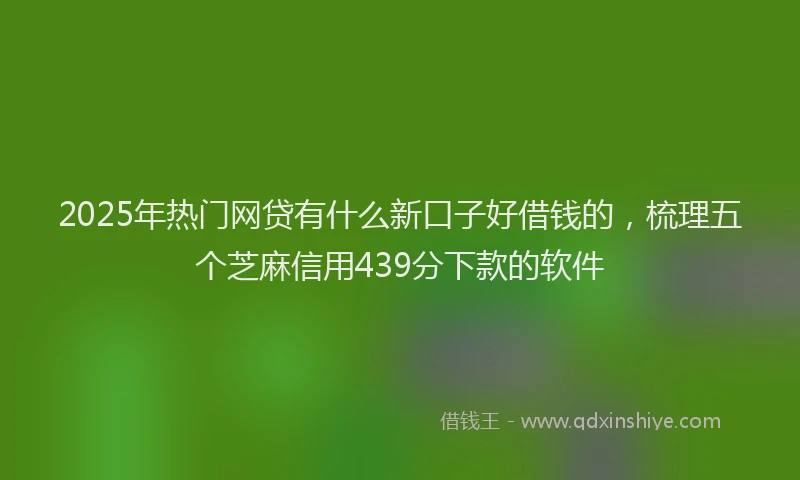 2025年热门网贷有什么新口子好借钱的，梳理五个芝麻信用439分下款的软件