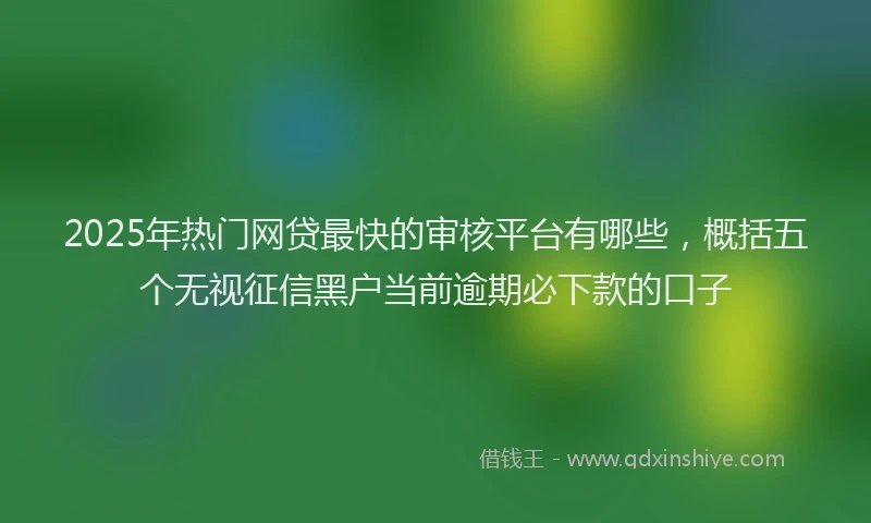 2025年热门网贷最快的审核平台有哪些，概括五个无视征信黑户当前逾期必下款的口子