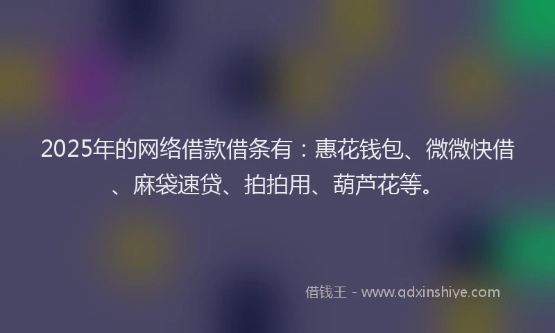 2025年的网络借款借条有：惠花钱包、微微快借、麻袋速贷、拍拍用、葫芦花等。