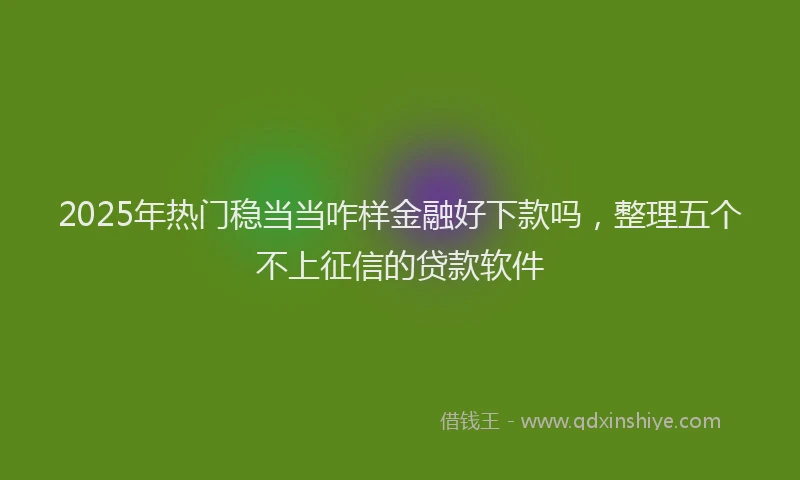 2025年热门稳当当咋样金融好下款吗，整理五个不上征信的贷款软件
