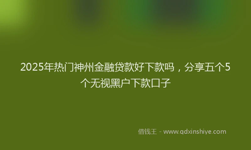 2025年热门神州金融贷款好下款吗，分享五个5个无视黑户下款口子