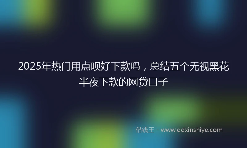 2025年热门用点呗好下款吗,总结五个无视黑花半夜下款的网贷口子