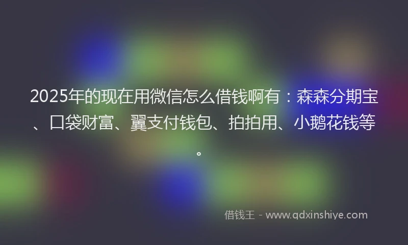 2025年的现在用微信怎么借钱啊有：森森分期宝、口袋财富、翼支付钱包、拍拍用、小鹅花钱等。