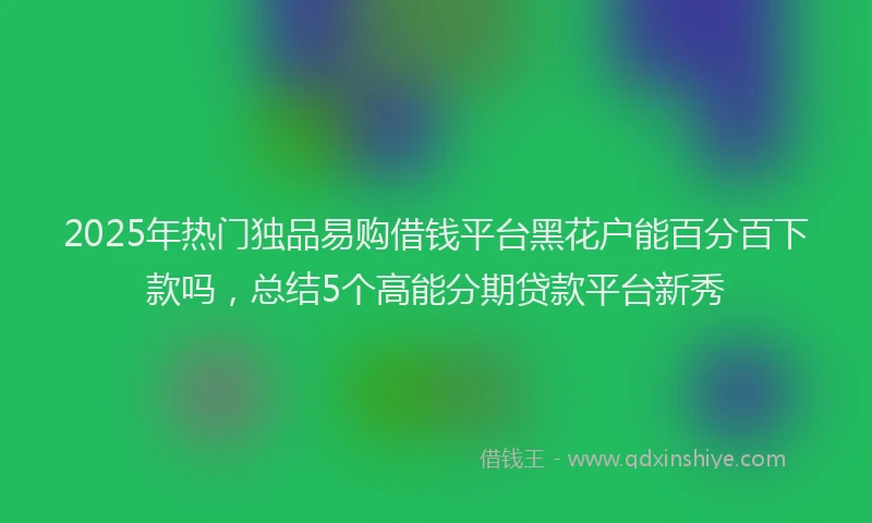 2025年热门独品易购借钱平台黑花户能百分百下款吗，总结5个高能分期贷款平台新秀