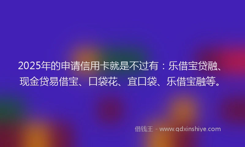 2025年的申请信用卡就是不过有：乐借宝贷融、现金贷易借宝、口袋花、宜口袋、乐借宝融等。