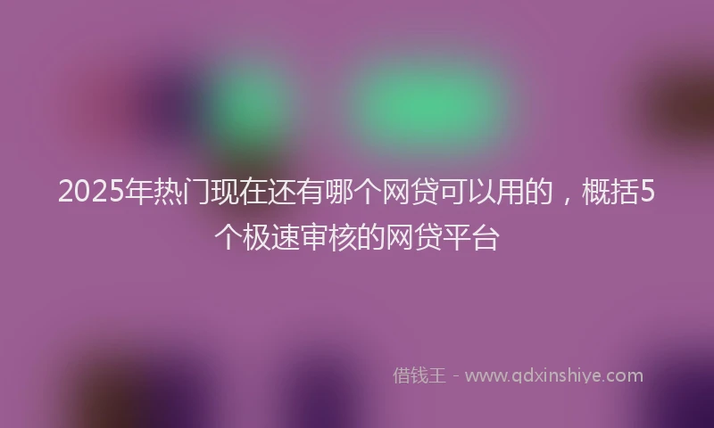 2025年热门现在还有哪个网贷可以用的，概括5个极速审核的网贷平台
