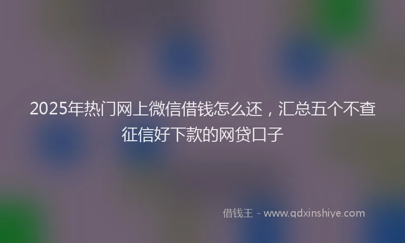 2025年热门网上微信借钱怎么还，汇总五个不查征信好下款的网贷口子
