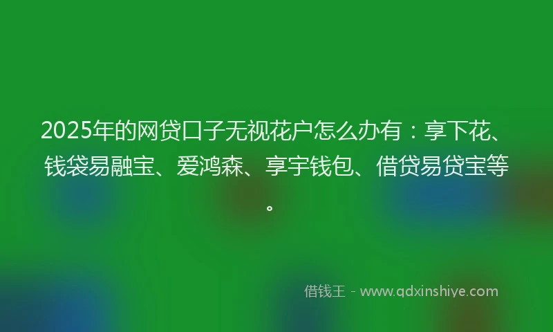 2025年的网贷口子无视花户怎么办有：享下花、钱袋易融宝、爱鸿森、享宇钱包、借贷易贷宝等。