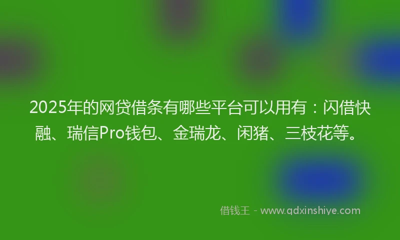 2025年的网贷借条有哪些平台可以用有：闪借快融、瑞信Pro钱包、金瑞龙、闲猪、三枝花等。