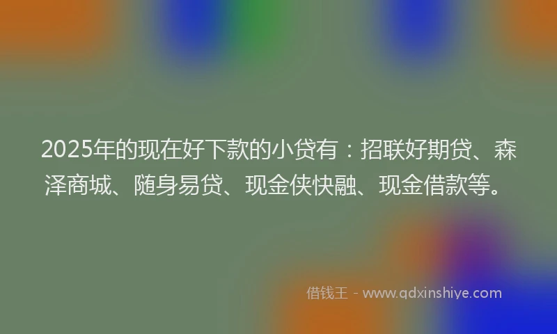2025年的现在好下款的小贷有：招联好期贷、森泽商城、随身易贷、现金侠快融、现金借款等。
