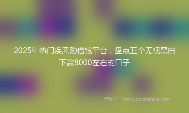 2025年热门疾风购借钱平台,盘点五个无视黑白下款8000左右的口子