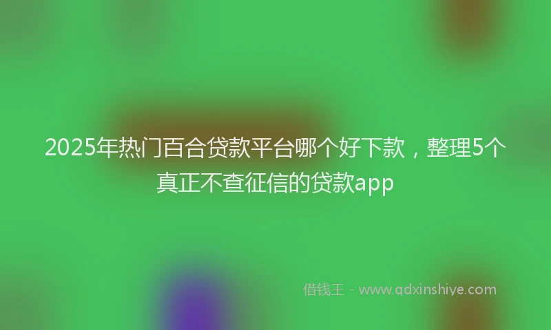 2025年热门百合贷款平台哪个好下款，整理5个真正不查征信的贷款app