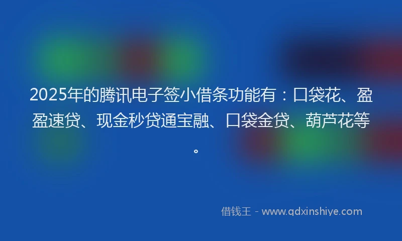 2025年的腾讯电子签小借条功能有：口袋花、盈盈速贷、现金秒贷通宝融、口袋金贷、葫芦花等。