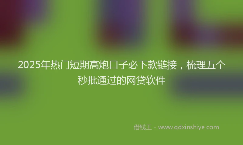 2025年热门短期高炮口子必下款链接，梳理五个秒批通过的网贷软件