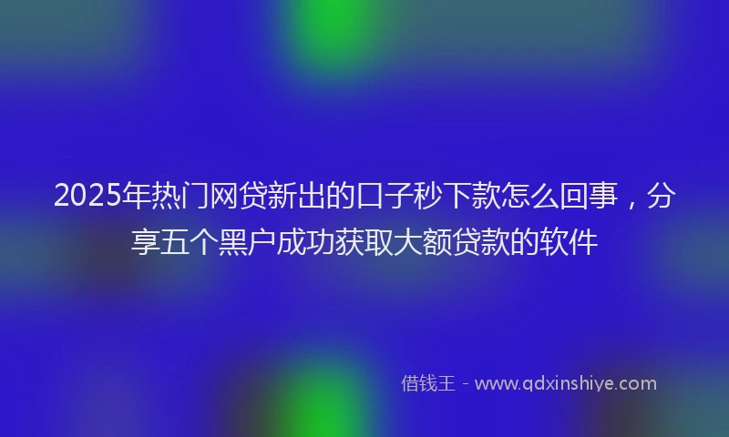 2025年热门网贷新出的口子秒下款怎么回事，分享五个黑户成功获取大额贷款的软件