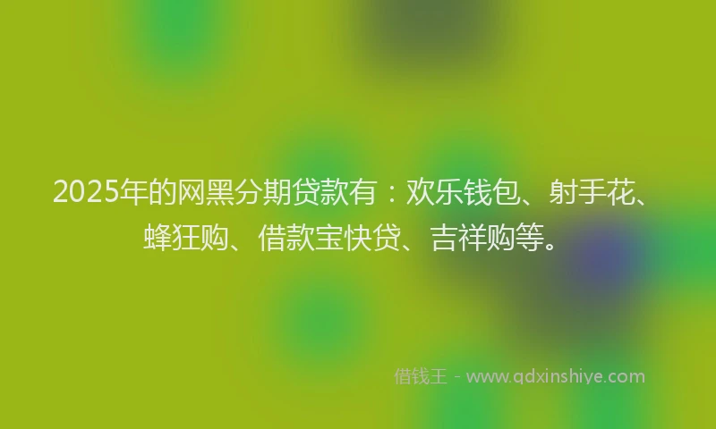 2025年的网黑分期贷款有:欢乐钱包、射手花、蜂狂购、借款宝快贷、吉祥购等。