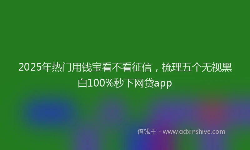 2025年热门用钱宝看不看征信，梳理五个无视黑白100%秒下网贷app