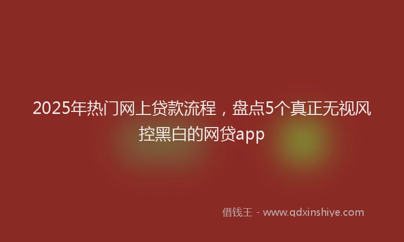 2025年热门网上贷款流程，盘点5个真正无视风控黑白的网贷app