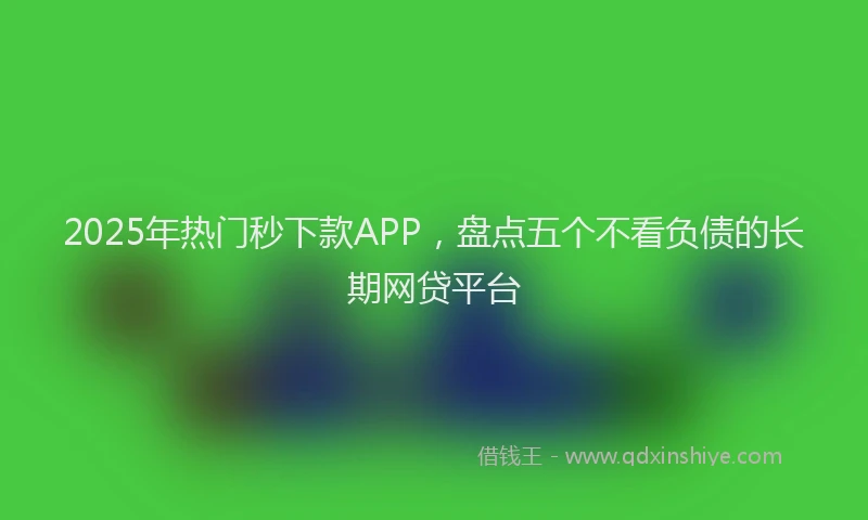 2025年热门秒下款APP,盘点五个不看负债的长期网贷平台