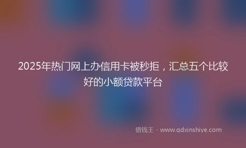 2025年热门网上办信用卡被秒拒，汇总五个比较好的小额贷款平台