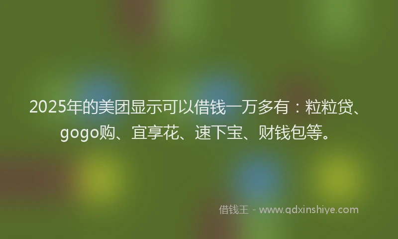 2025年的美团显示可以借钱一万多有：粒粒贷、gogo购、宜享花、速下宝、财钱包等。