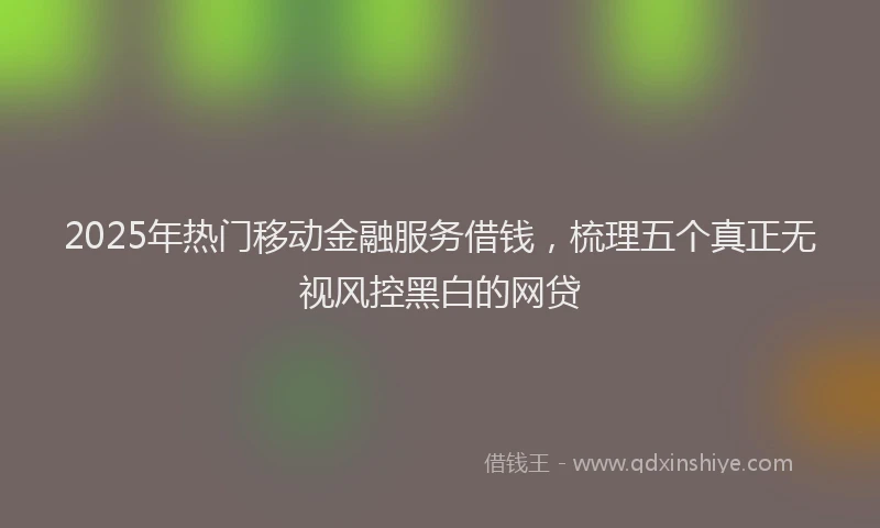 2025年热门移动金融服务借钱，梳理五个真正无视风控黑白的网贷