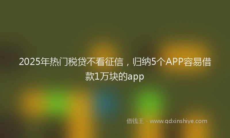2025年热门税贷不看征信，归纳5个APP容易借款1万块的app