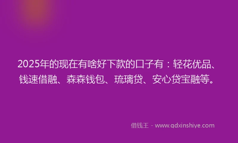 2025年的现在有啥好下款的口子有：轻花优品、钱速借融、森森钱包、琉璃贷、安心贷宝融等。