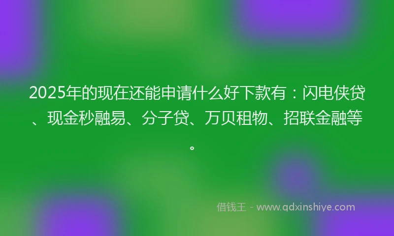 2025年的现在还能申请什么好下款有：闪电侠贷、现金秒融易、分子贷、万贝租物、招联金融等。
