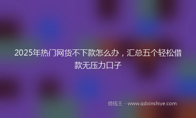 2025年热门网货不下款怎么办，汇总五个轻松借款无压力口子
