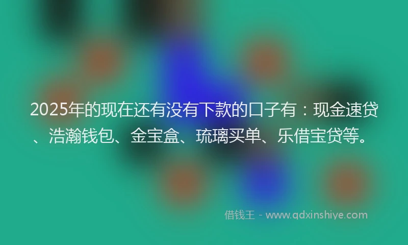 2025年的现在还有没有下款的口子有：现金速贷、浩瀚钱包、金宝盒、琉璃买单、乐借宝贷等。