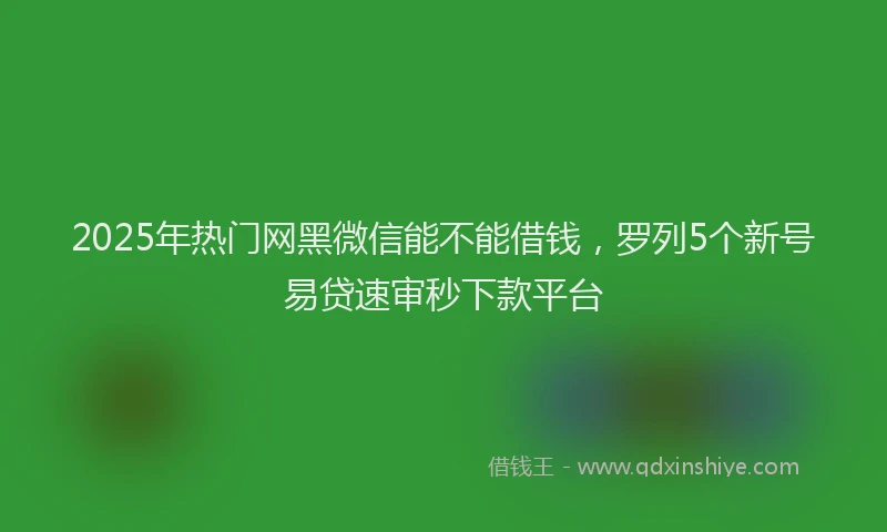 2025年热门网黑微信能不能借钱,罗列5个新号易贷速审秒下款平台