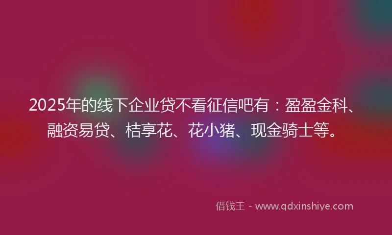 2025年的线下企业贷不看征信吧有：盈盈金科、融资易贷、桔享花、花小猪、现金骑士等。