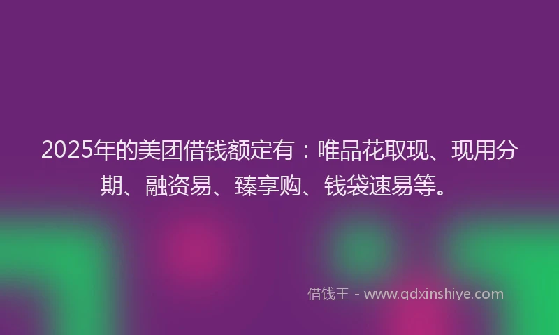 2025年的美团借钱额定有:唯品花取现、现用分期、融资易、臻享购、钱袋速易等。
