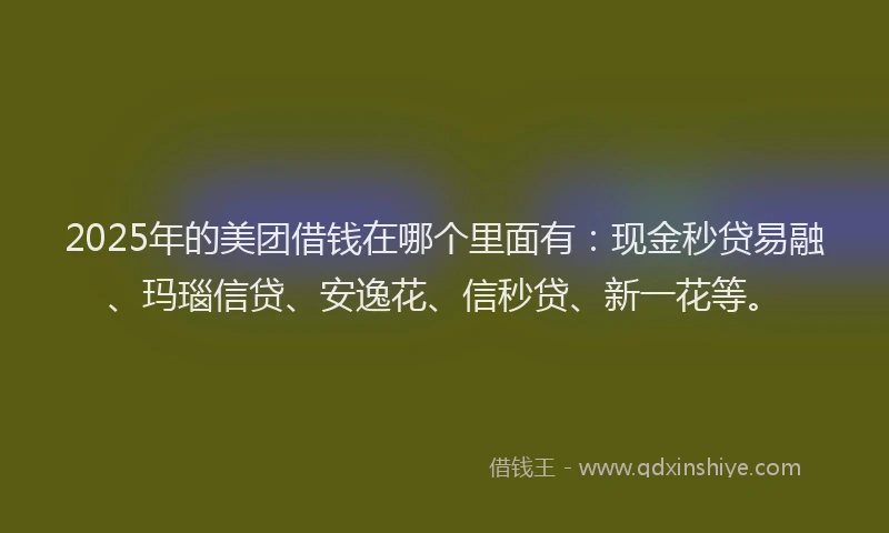 2025年的美团借钱在哪个里面有:现金秒贷易融、玛瑙信贷、安逸花、信秒贷、新一花等。