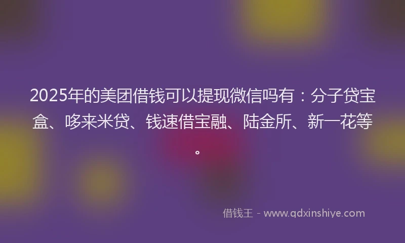 2025年的美团借钱可以提现微信吗有:分子贷宝盒、哆来米贷、钱速借宝融、陆金所、新一花等。