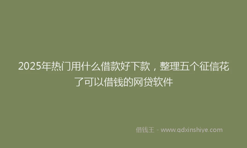 2025年热门用什么借款好下款,整理五个征信花了可以借钱的网贷软件