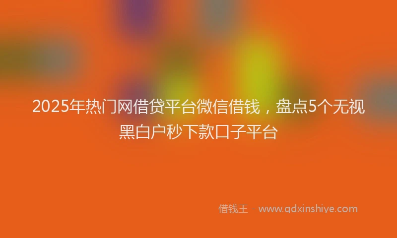 2025年热门网借贷平台微信借钱，盘点5个无视黑白户秒下款口子平台
