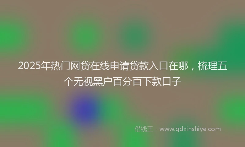2025年热门网贷在线申请贷款入口在哪，梳理五个无视黑户百分百下款口子