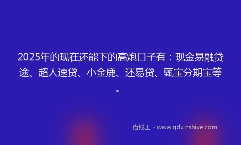 2025年的现在还能下的高炮口子有：现金易融贷途、超人速贷、小金鹿、还易贷、甄宝分期宝等。