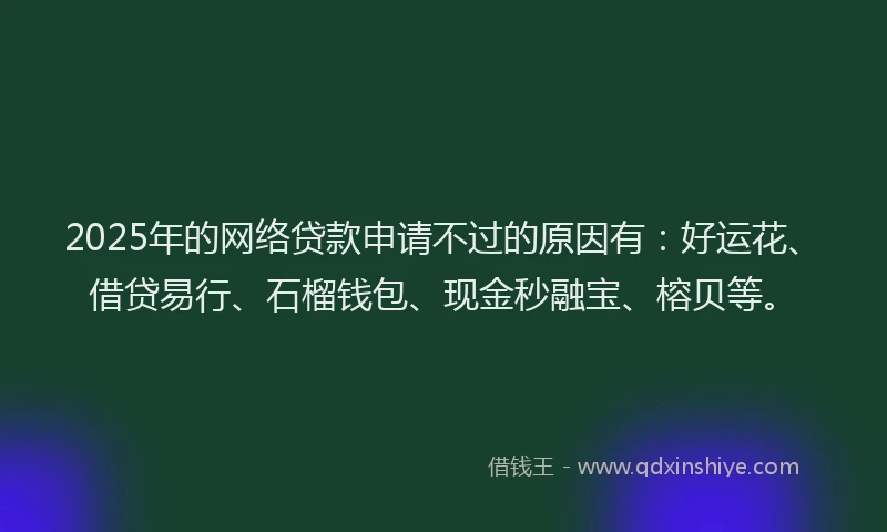 2025年的网络贷款申请不过的原因有：好运花、借贷易行、石榴钱包、现金秒融宝、榕贝等。