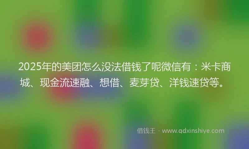 2025年的美团怎么没法借钱了呢微信有：米卡商城、现金流速融、想借、麦芽贷、洋钱速贷等。