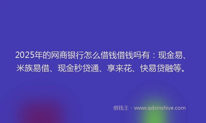 2025年的网商银行怎么借钱借钱吗有：现金易、米族易借、现金秒贷通、享来花、快易贷融等。