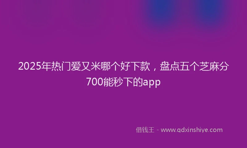 2025年热门爱又米哪个好下款，盘点五个芝麻分700能秒下的app