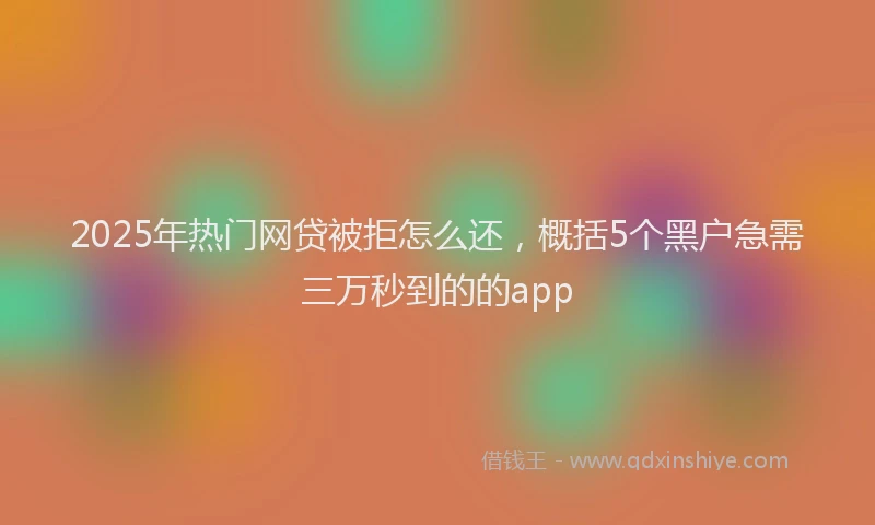 2025年热门网贷被拒怎么还，概括5个黑户急需三万秒到的的app