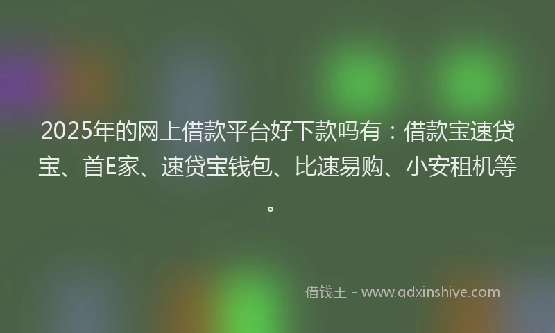 2025年的网上借款平台好下款吗有：借款宝速贷宝、首E家、速贷宝钱包、比速易购、小安租机等。