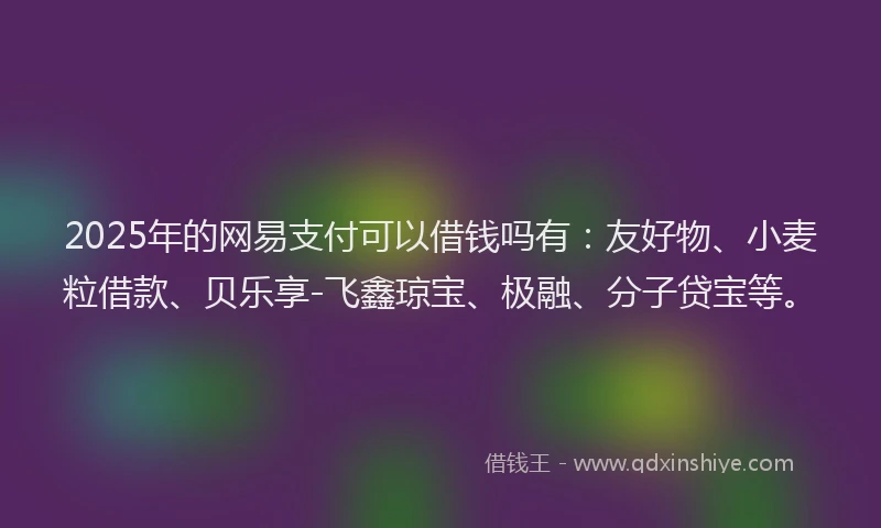2025年的网易支付可以借钱吗有：友好物、小麦粒借款、贝乐享-飞鑫琼宝、极融、分子贷宝等。