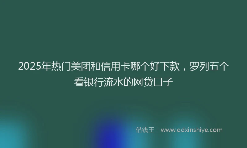2025年热门美团和信用卡哪个好下款，罗列五个看银行流水的网贷口子